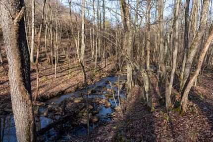 Land for sale in Barbour County, West Virginia