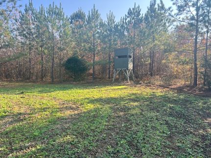 Undeveloped Land for sale in Jasper County, Georgia