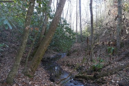 Land for sale in Lee County, Virginia