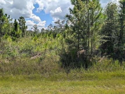 Land for sale in Polk County, Florida