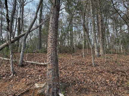 Homesite for sale in Macon County, North Carolina