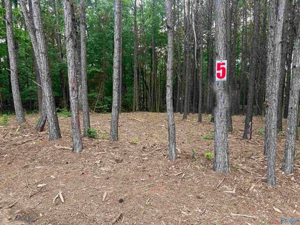 Land for sale in Walker County, Alabama