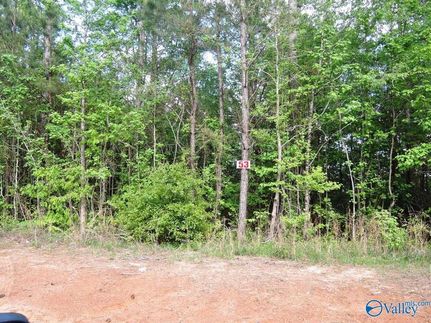 Homesite for sale in Walker County, Alabama