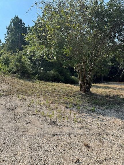 Homesite for sale in Bastrop County, Texas