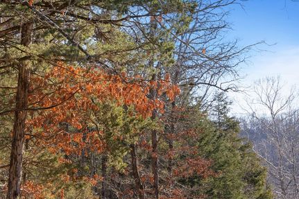 Land for sale in Taney County, Missouri