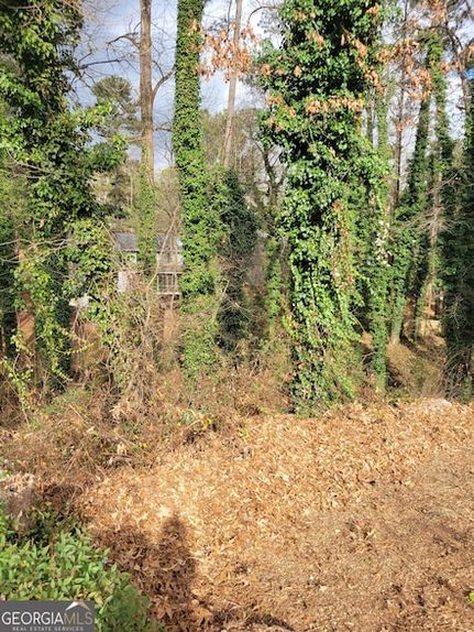 Undeveloped Land for sale in Gwinnett County, Georgia