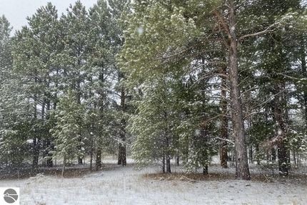 Land for sale in Kalkaska County, Michigan