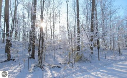 Land for sale in Grand Traverse County, Michigan