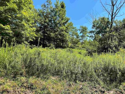 Homesite for sale in Tucker County, West Virginia
