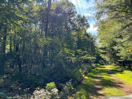Homesite for sale in Sullivan County, New York