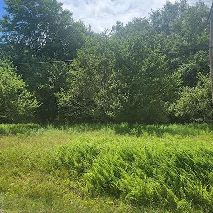 Undeveloped Land for sale in Sullivan County, New York