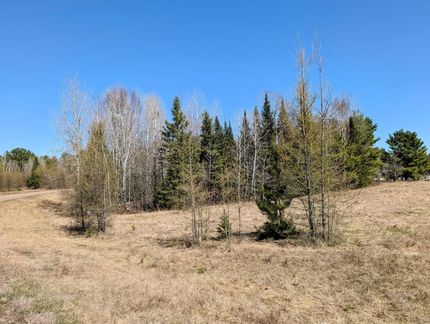 Land for sale in Price County, Wisconsin
