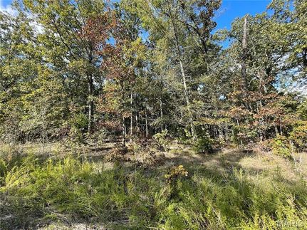 Land for sale in Butler County, Missouri