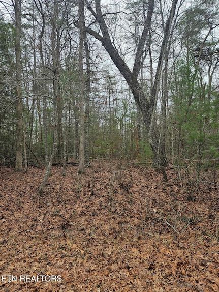 Homesite for sale in Cumberland County, Tennessee