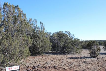 Land for sale in Navajo County, Arizona