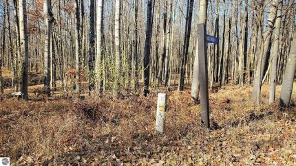 Homesite for sale in Mecosta County, Michigan