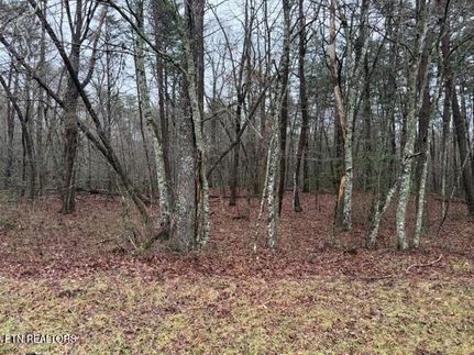 Land for sale in Putnam County, Tennessee