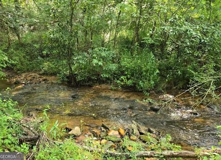 Homesite for sale in Towns County, Georgia