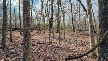 Undeveloped Land for sale in Marion County, Arkansas