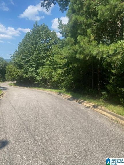 Land for sale in Saint Clair County, Alabama