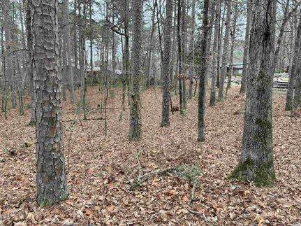 Land for sale in Garland County, Arkansas