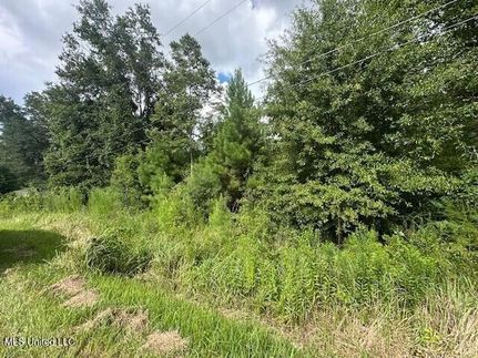 Homesite for sale in Harrison County, Mississippi