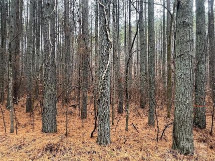 Undeveloped Land for sale in Rutherford County, North Carolina