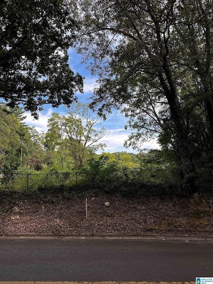 Undeveloped Land for sale in Jefferson County, Alabama