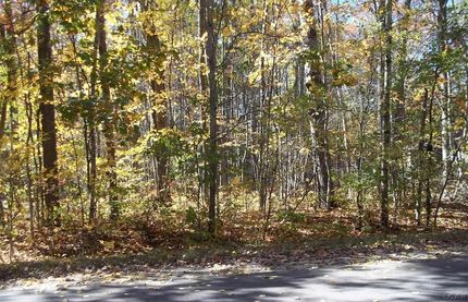Land for sale in Roscommon County, Michigan