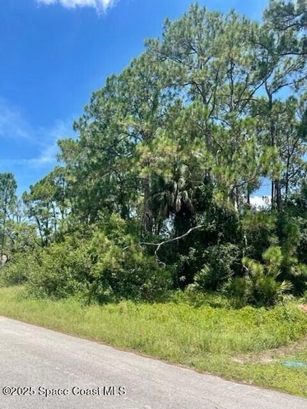 Undeveloped Land for sale in Brevard County, Florida