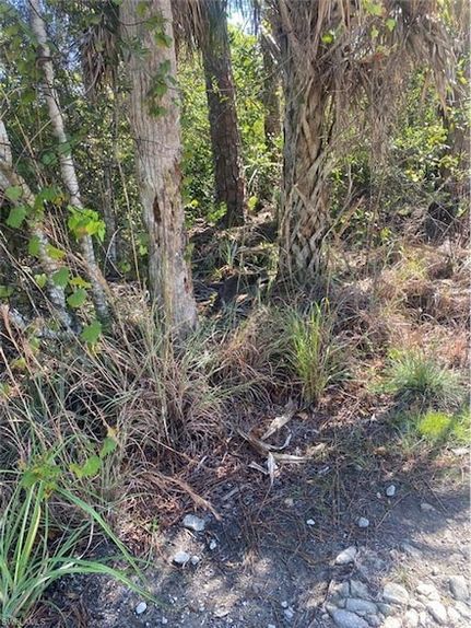 Undeveloped Land for sale in Collier County, Florida