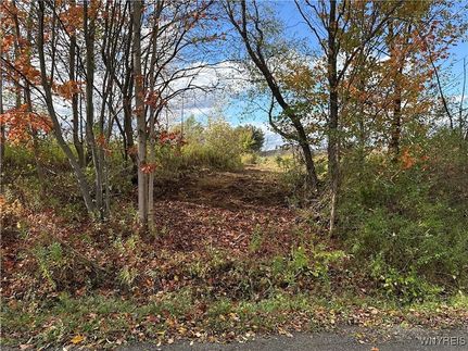 Undeveloped Land for sale in Cattaraugus County, New York