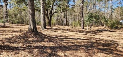 Land for sale in Saint Tammany Parish, Louisiana