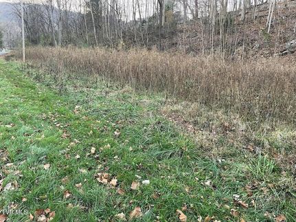 Land for sale in Unicoi County, Tennessee