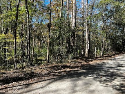 Land for sale in Berkeley County, South Carolina