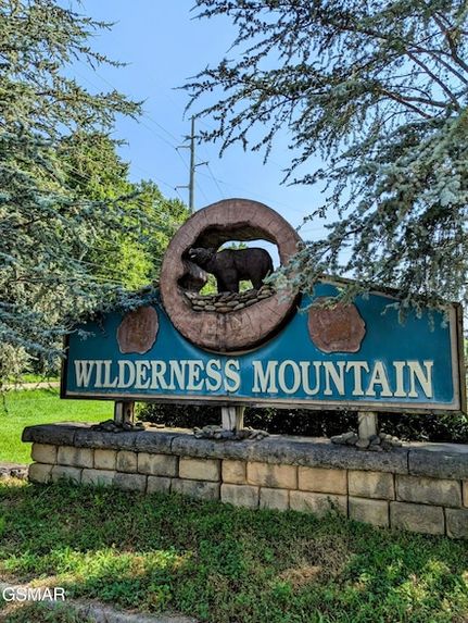 Undeveloped Land for sale in Sevier County, Tennessee