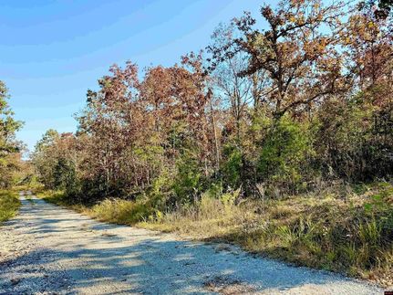 Undeveloped Land for sale in Baxter County, Arkansas