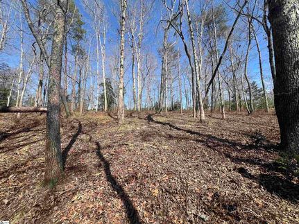 Homesite for sale in Spartanburg County, South Carolina