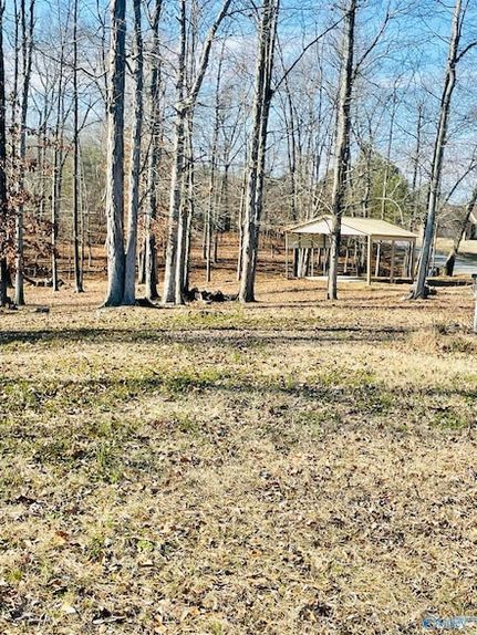 Land for sale in Cherokee County, Alabama