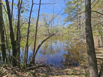 Land for sale in Decatur County, Tennessee