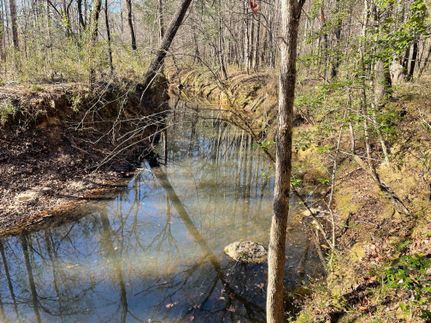 Recreational Property for sale in Lincoln County, Georgia