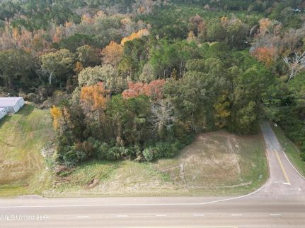 Land for sale in Simpson County, Mississippi