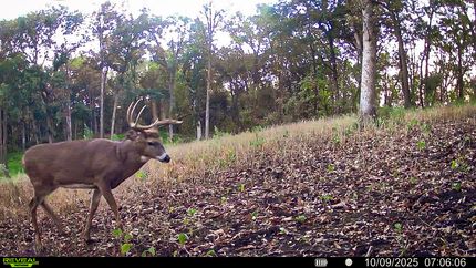 Timberland Property for sale in Trempealeau County, Wisconsin