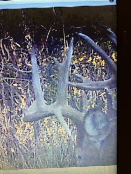 Land for sale in Van Buren County, Iowa