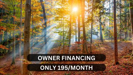 Undeveloped Land for sale in Harrison County, Texas