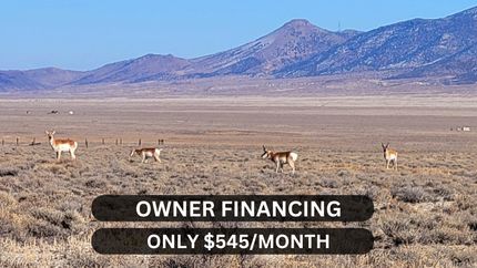 Land for sale in Elko County, Nevada
