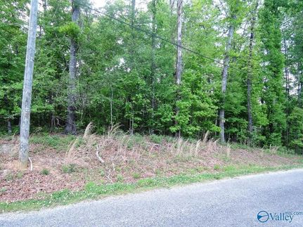 Land for sale in Walker County, Alabama