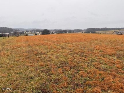 Homesite for sale in Washington County, Tennessee