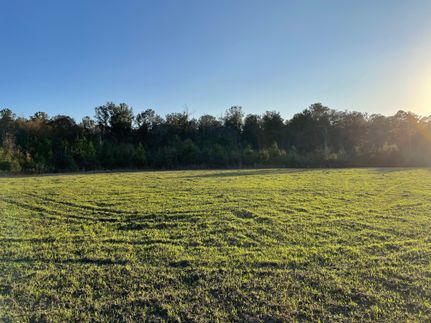 Land for sale in Baldwin County, Alabama