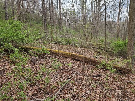 Land for sale in Greene County, Pennsylvania